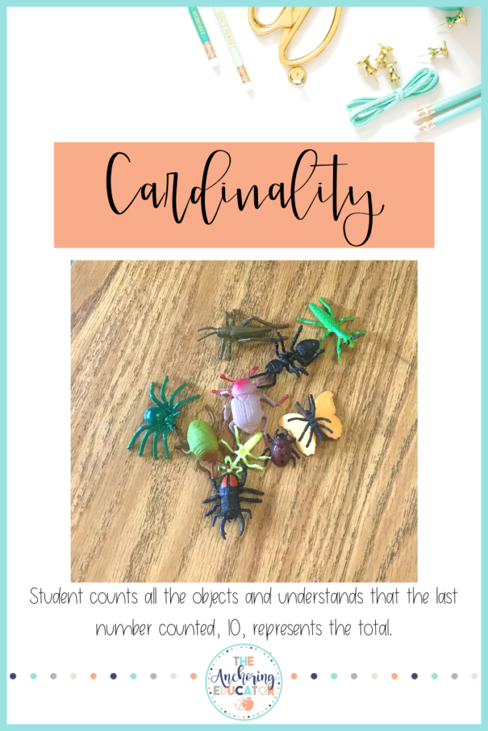 Fundamental principle of counting- Cardinality: Photo of a collection of 10 bugs that a student has counted. Student counts all the objects and understands that the last number counted, 10, represents the total. 